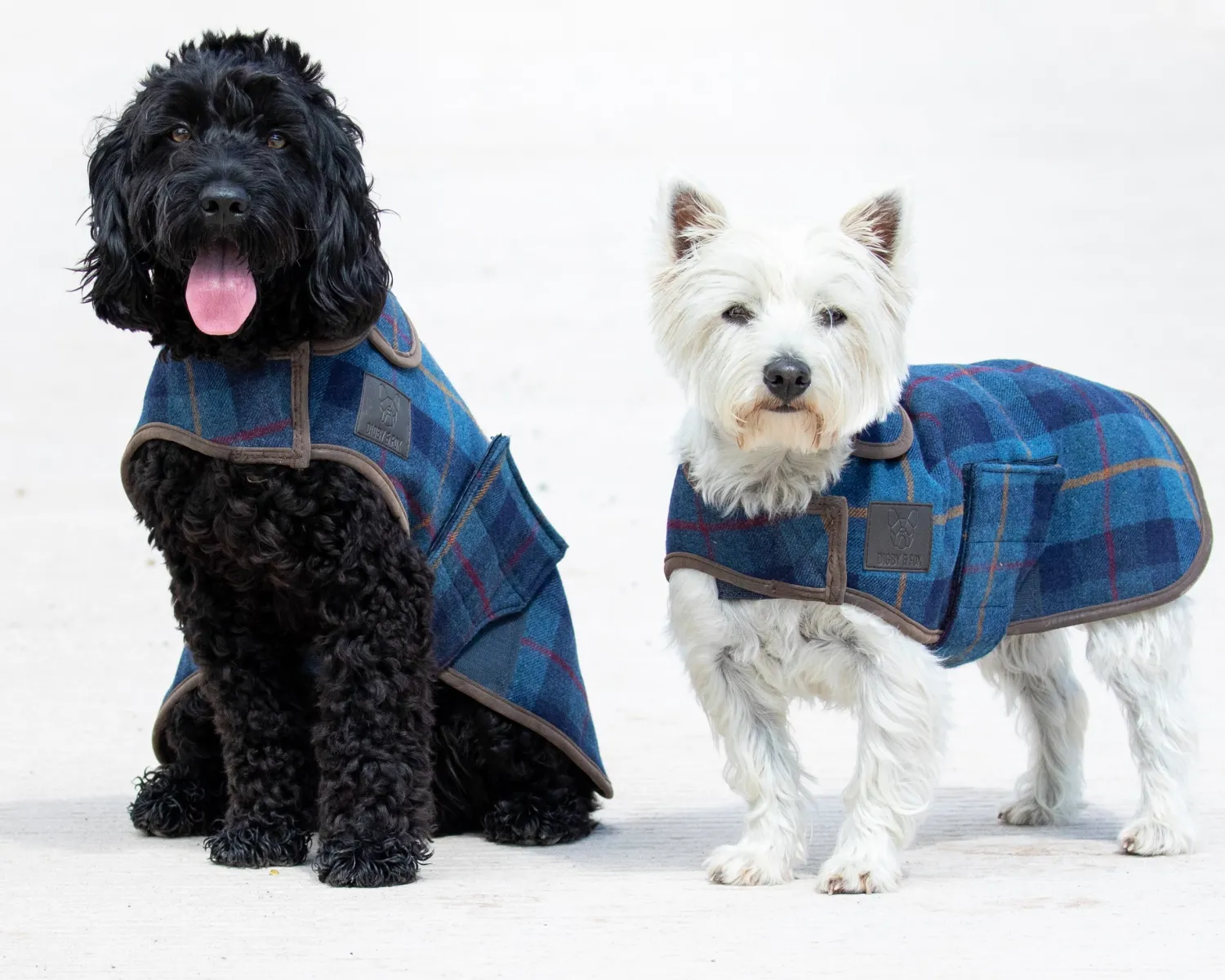 Best SHIRES EQUESTRIAN Shires Digby & Fox Tweed Dog Coat
