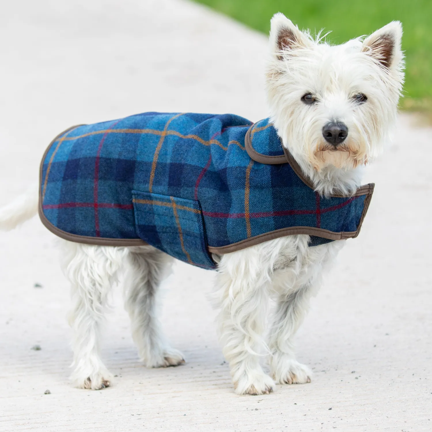 Best SHIRES EQUESTRIAN Shires Digby & Fox Tweed Dog Coat