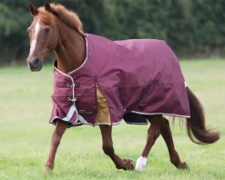 Sale SHIRES EQUESTRIAN Shires Highlander 100G Blanket