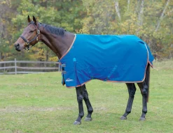 Outlet SHIRES EQUESTRIAN Shires Highlander 200G Blanket