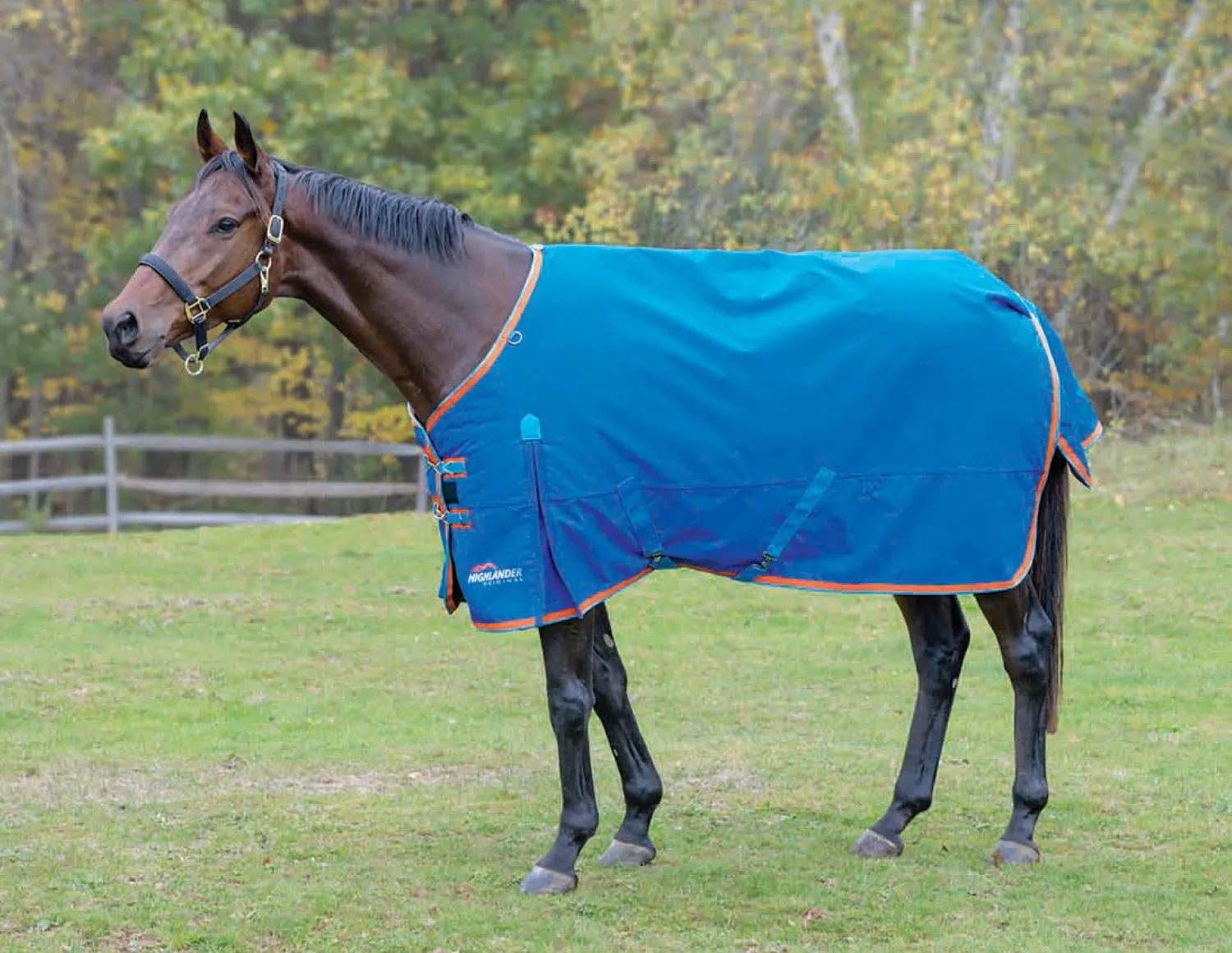Outlet SHIRES EQUESTRIAN Shires Highlander 200G Blanket