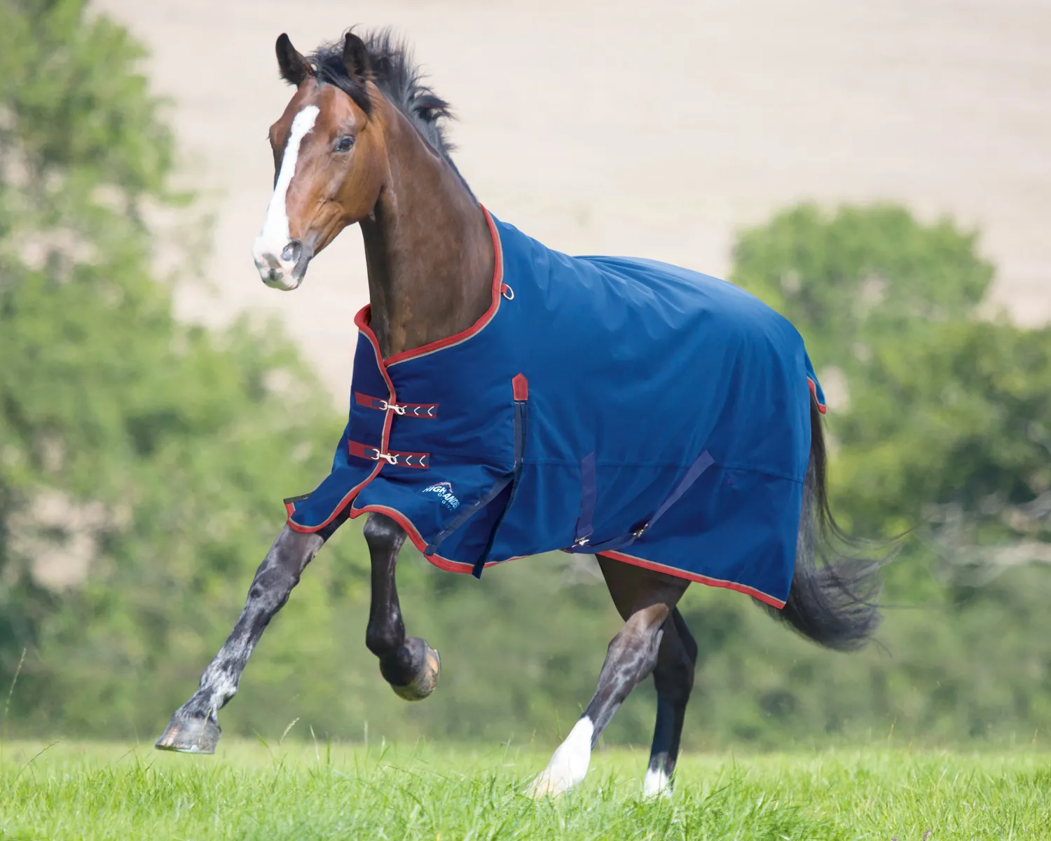 Hot SHIRES EQUESTRIAN Shires Highlander 300G Blanket