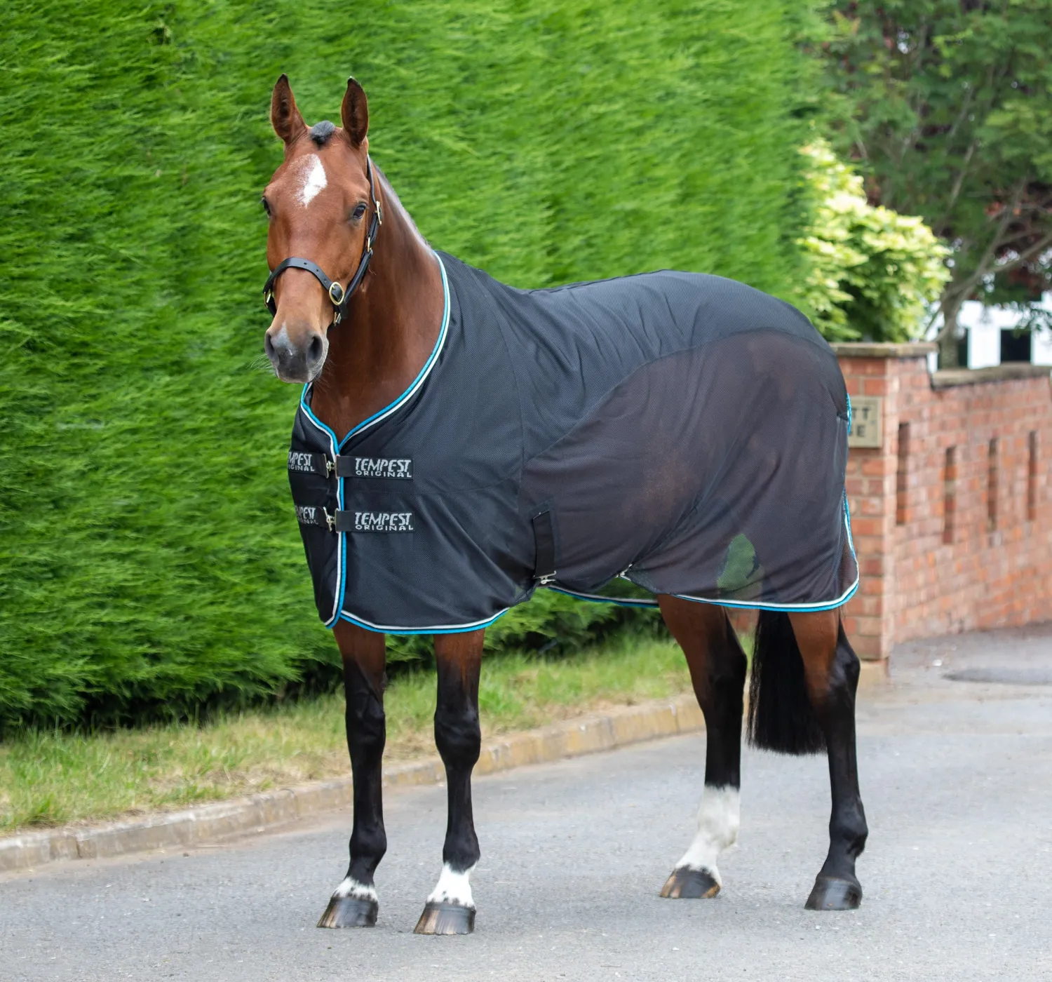 Outlet SHIRES EQUESTRIAN Shires Tempest Fleece Mesh Cooler