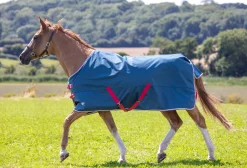 Discount SHIRES EQUESTRIAN Shires Tempest Original Lite Turnout Sheet