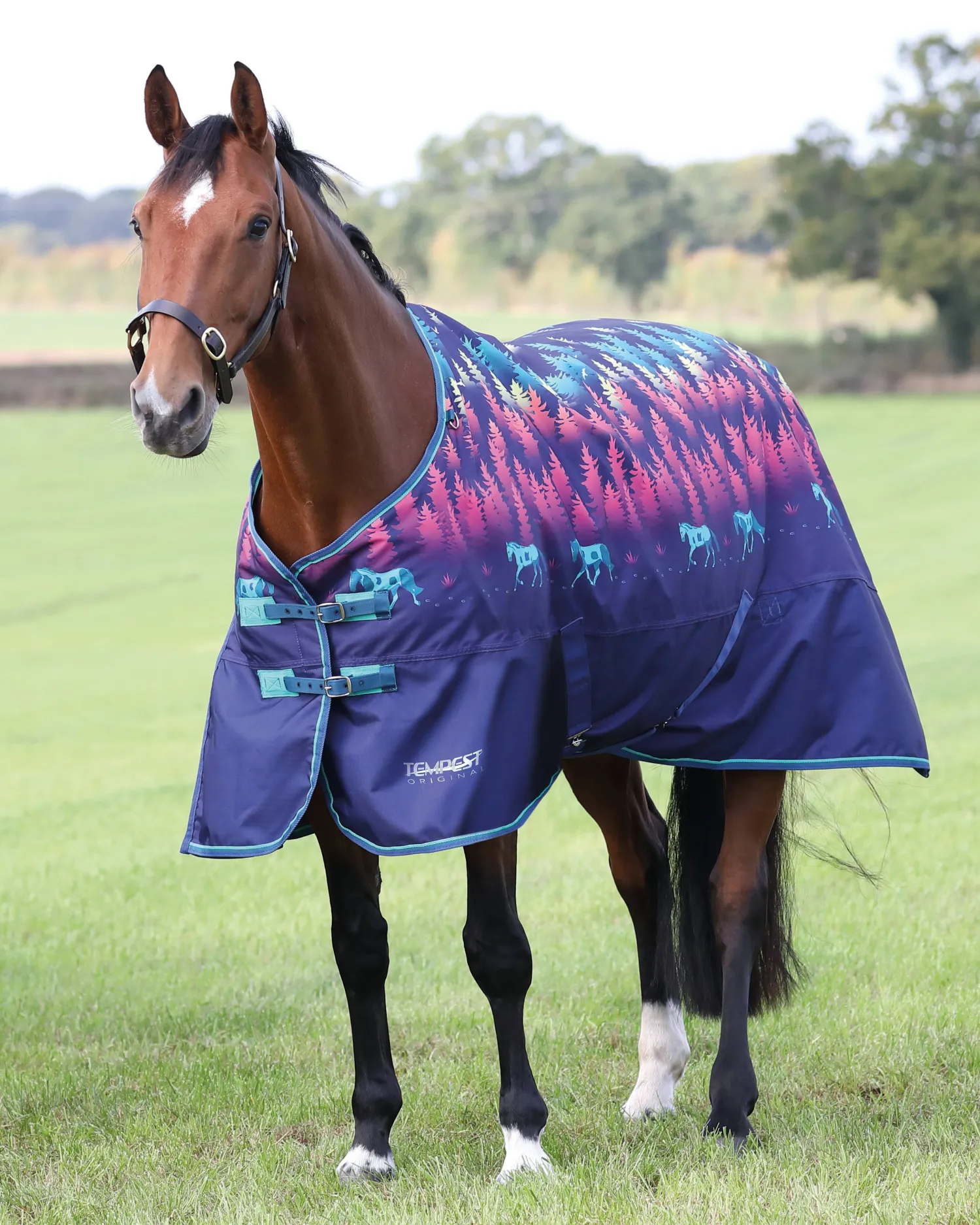 Discount SHIRES EQUESTRIAN Shires Tempest Original Lite Turnout Sheet