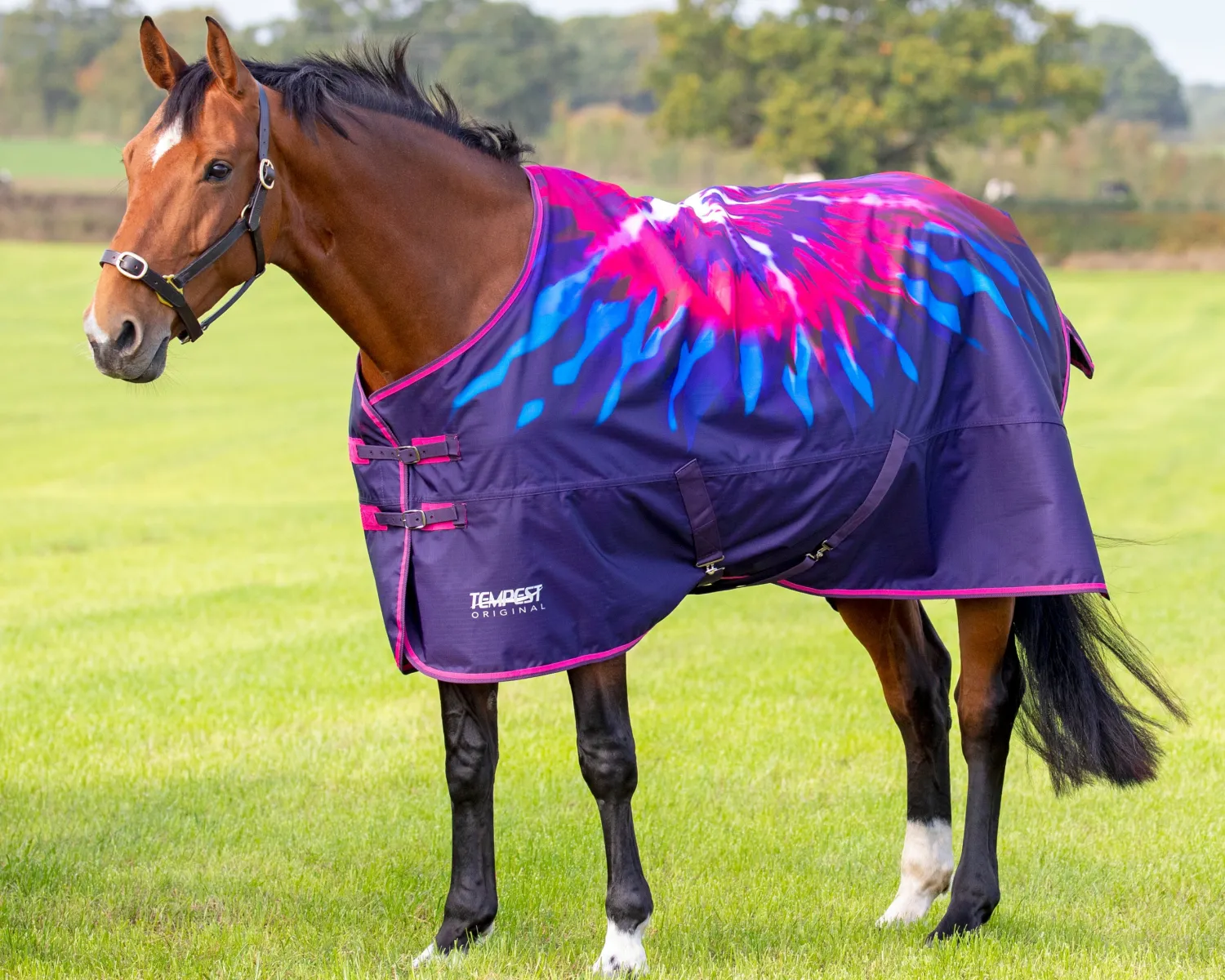Discount SHIRES EQUESTRIAN Shires Tempest Original Lite Turnout Sheet