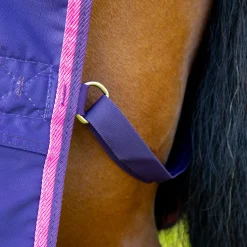 Discount SHIRES EQUESTRIAN Shires Tempest Original Lite Turnout Sheet