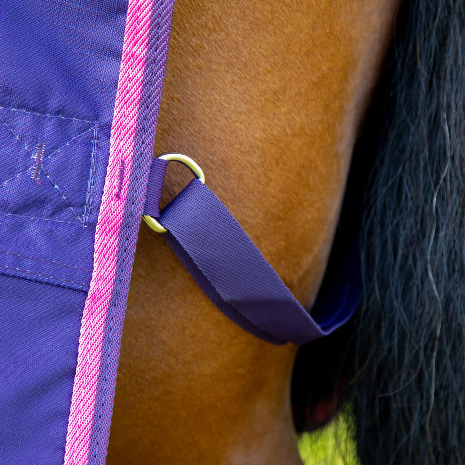 Discount SHIRES EQUESTRIAN Shires Tempest Original Lite Turnout Sheet