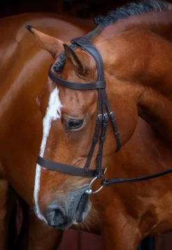 Clearance SHIRES EQUESTRIAN Shires Velociti Rapida Hunter Caveson Bridle Havana