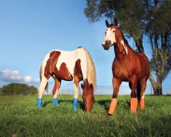 Sale ANIMAL HEALTH INT Shoofly Leggins™ Set of 4