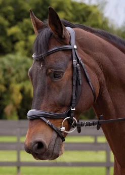 GLOBAL EXPORTS Showmark® Ergonomic Flash Bridle