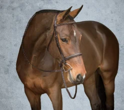 Discount HARMOHN KRAFT Showmark® Premier Hunter Bridle Chocolate