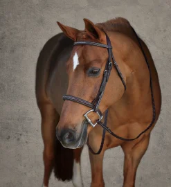 Clearance HARMOHN KRAFT Showmark® Premier Padded Pony Hunter Bridle Chocolate