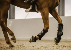 New STUBBEN N.A. Stübben Airflow Fleece-Lined Brushing Boots