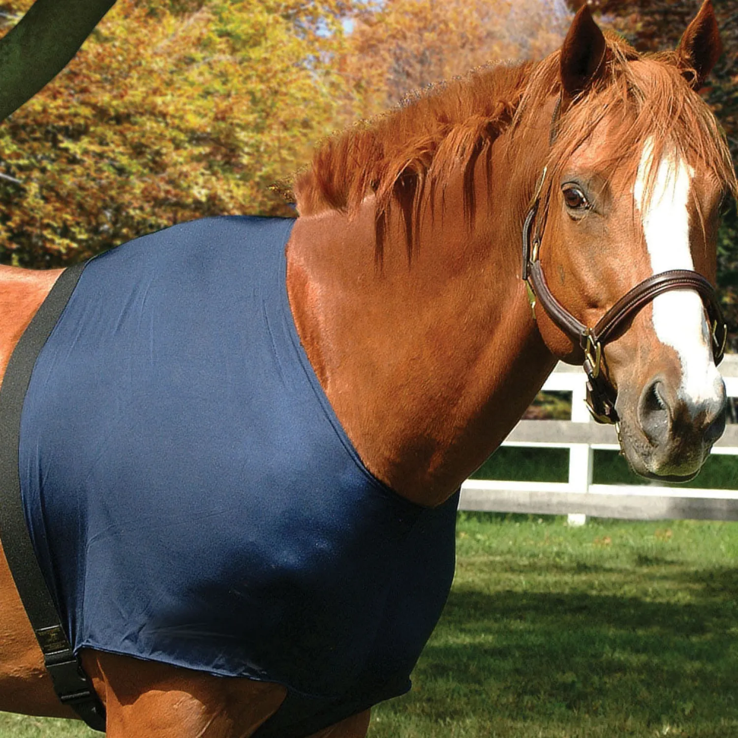 Best INT RIDING HELMET Stretchies® Shoulder Guard