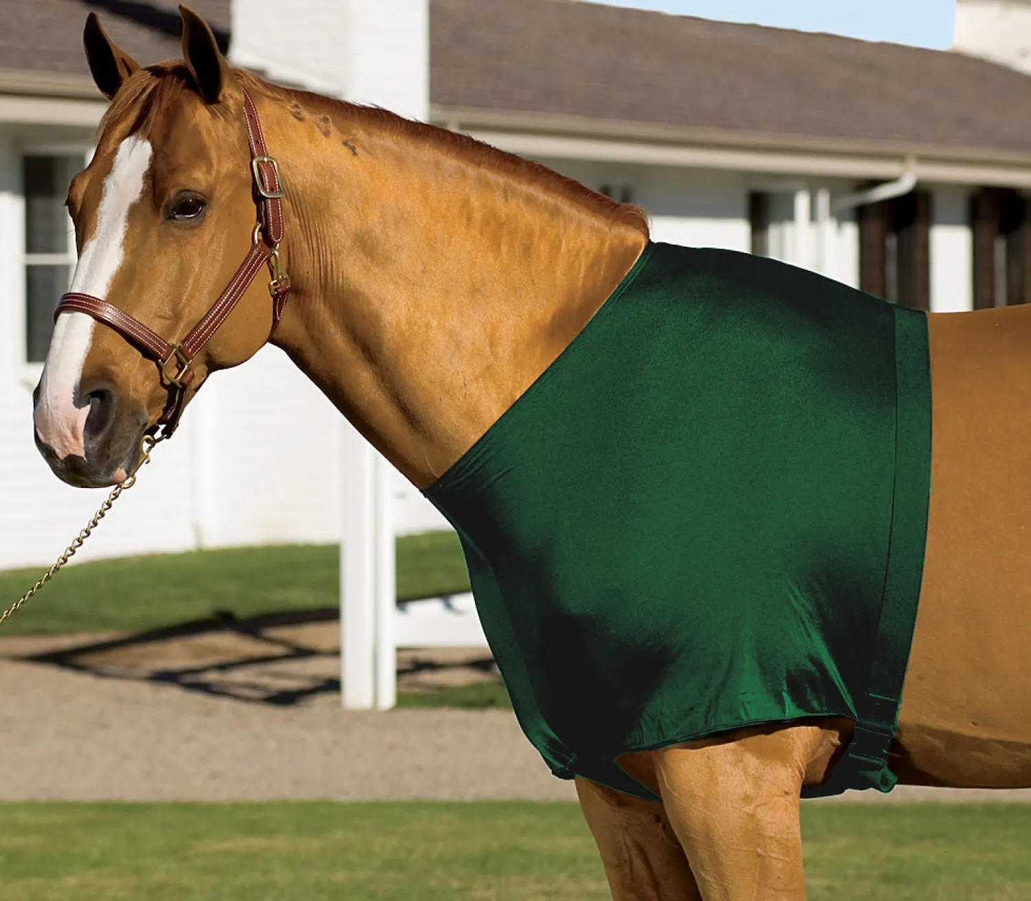 Best INT RIDING HELMET Stretchies® Shoulder Guard