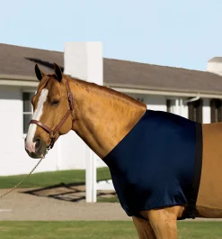 Best INT RIDING HELMET Stretchies® Shoulder Guard