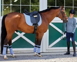 New TEXT HORSE Stride™ Premium Seasonal Polo Wraps