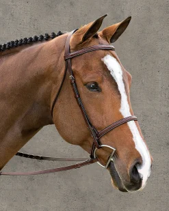 Best KINGS INTERNATIONAL Suffolk™ Classic Hunter Bridle Brown