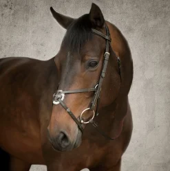 Online KINGS INTERNATIONAL Suffolk™ Figure-8 Bridle Brown
