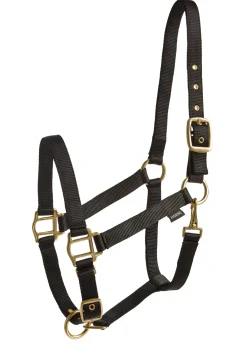 Online TEXT HORSE Suffolk™ Heavy Nylon Breakaway Halter with Fuse