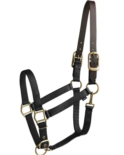 New TEXT HORSE Suffolk™ Heavy Nylon Halter with Breakaway Crown