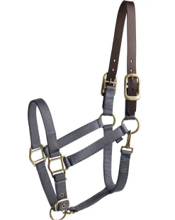 New TEXT HORSE Suffolk™ Heavy Nylon Halter with Breakaway Crown