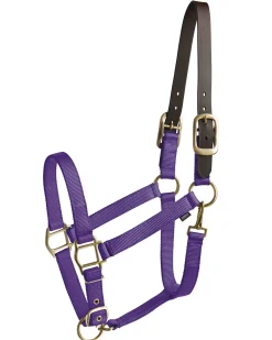 New TEXT HORSE Suffolk™ Heavy Nylon Halter with Breakaway Crown