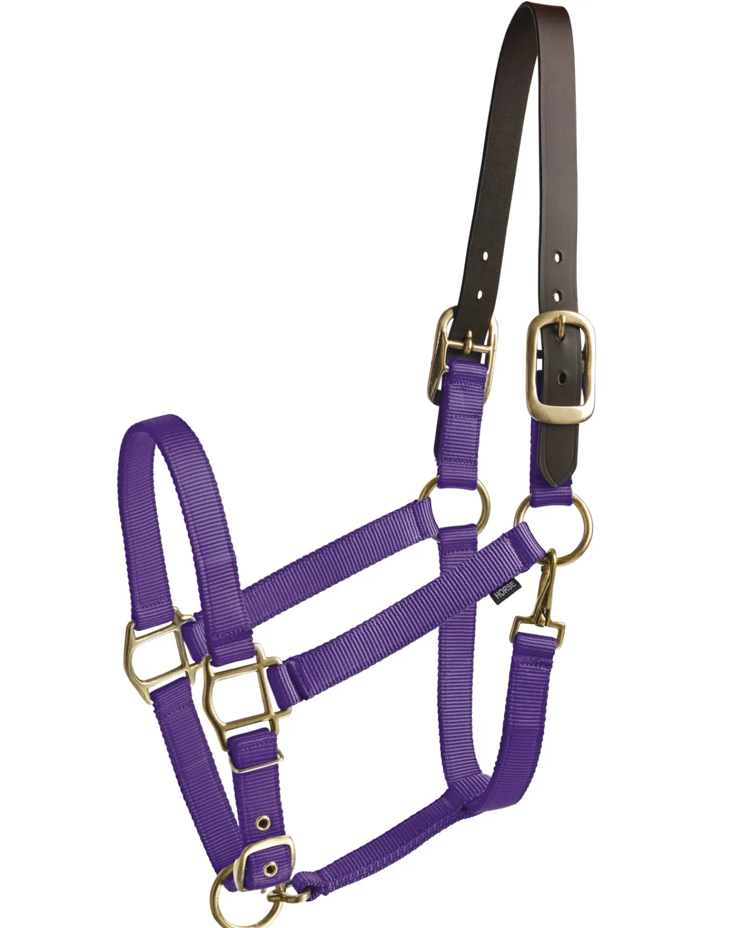 New TEXT HORSE Suffolk™ Heavy Nylon Halter with Breakaway Crown