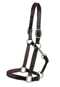 Outlet KINGS INTERNATIONAL Suffolk™ Lined Halter