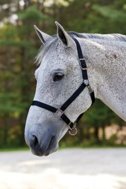 Clearance TEXT HORSE Suffolk™ Nylon Breakaway Halter