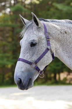 Clearance TEXT HORSE Suffolk™ Nylon Breakaway Halter