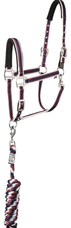 Online TEXT HORSE Suffolk™ Padded Striped Breakaway Halter & Lead