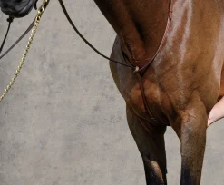 Hot KINGS INTERNATIONAL Suffolk™ Raised Standing Martingale Brown