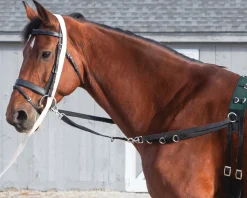 Online TEXT HORSE Suffolk™ Side Reins with Elastic Black