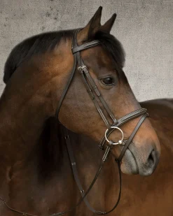 Sale KINGS INTERNATIONAL Suffolk™ Single Crown Flash Bridle Brown