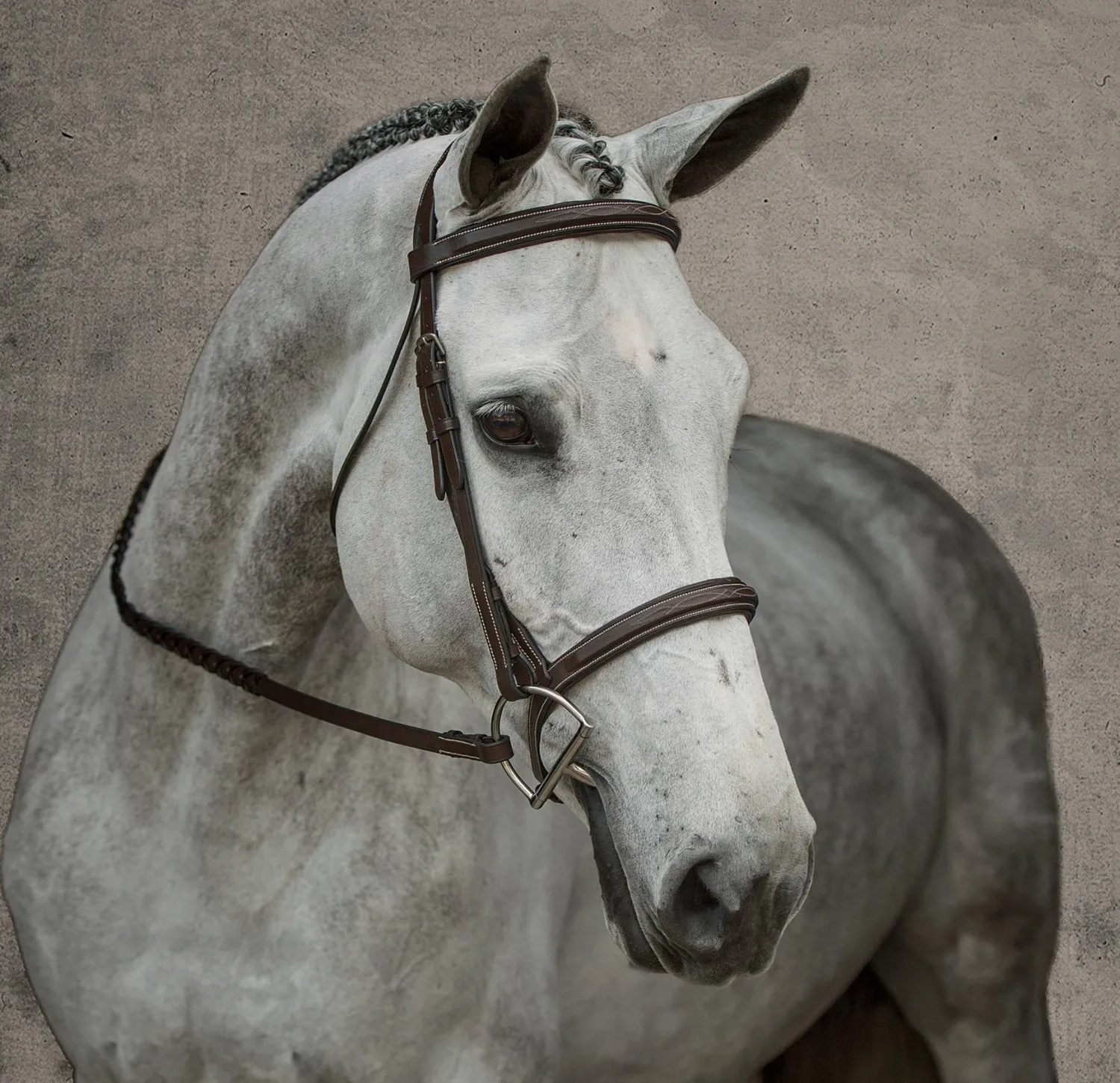 Discount KINGS INTERNATIONAL Suffolk™ Single Crown Hunter Bridle Oakbark