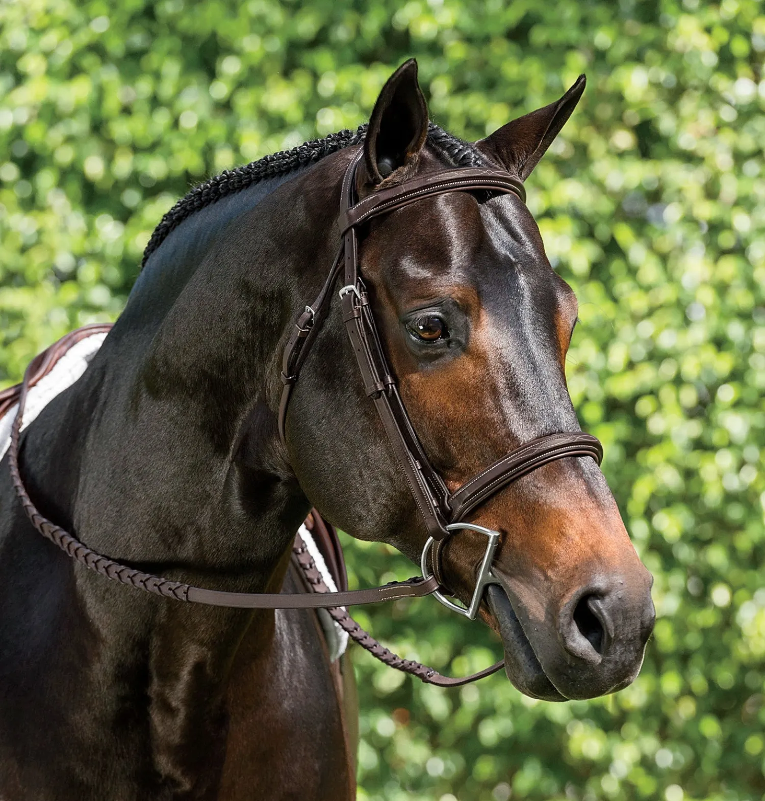 Discount KINGS INTERNATIONAL Suffolk™ Single Crown Hunter Bridle Oakbark