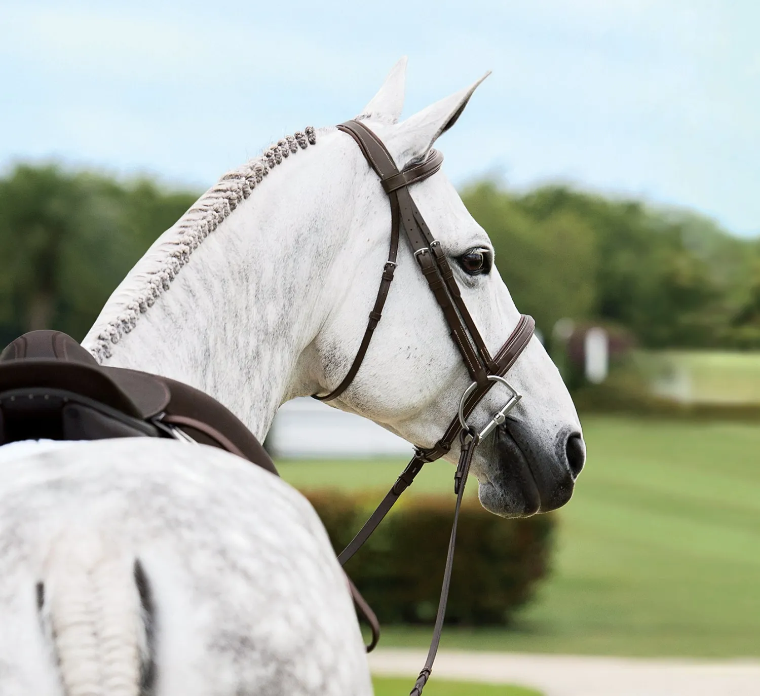 Discount KINGS INTERNATIONAL Suffolk™ Single Crown Hunter Bridle Oakbark