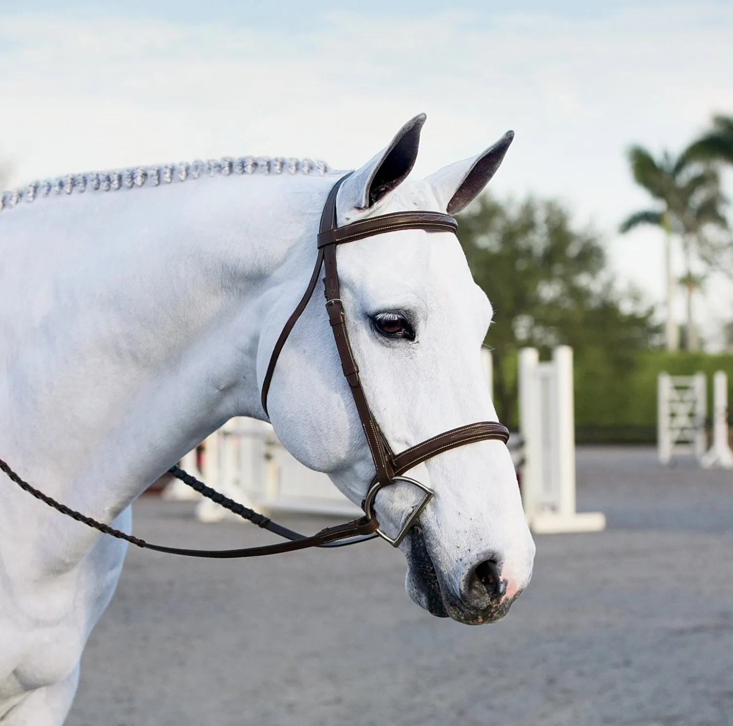 Discount KINGS INTERNATIONAL Suffolk™ Single Crown Hunter Bridle Oakbark