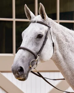 Online KINGS INTERNATIONAL Suffolk™ Training Bridle Brown