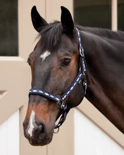 Sale TEXT HORSE Suffolk™ Woven Argyle Breakaway Halter
