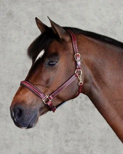 New PUSHKAR INTL Suffolk™ Ergonomic Halter
