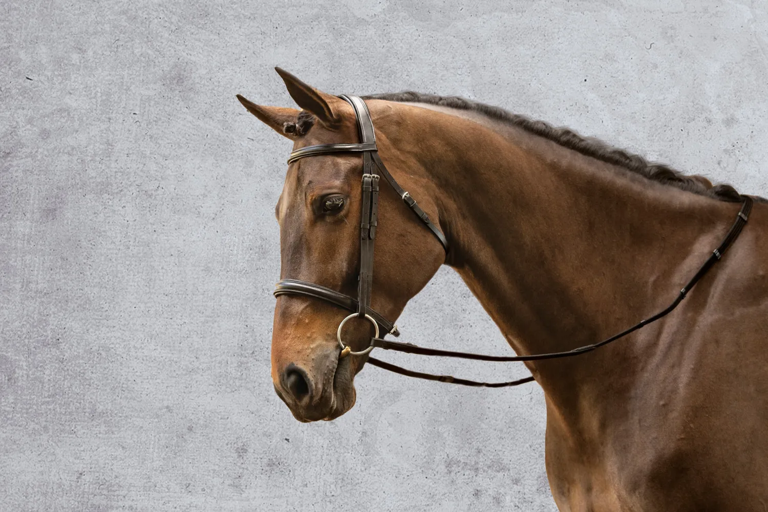 KINGS INTERNATIONAL Suffolk™ Single Crown Classic Dressage Bridle Black/Black