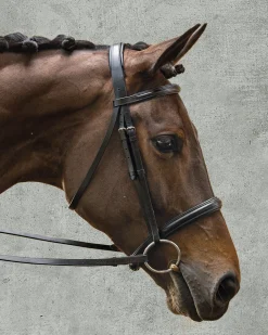 KINGS INTERNATIONAL Suffolk™ Single Crown Classic Dressage Bridle Black/Black