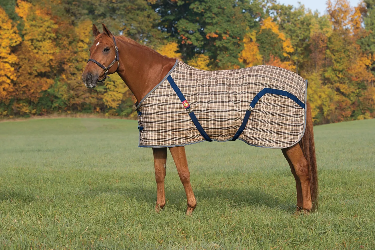 Clearance JACKS MFG The Original Baker® Sheet Plaid