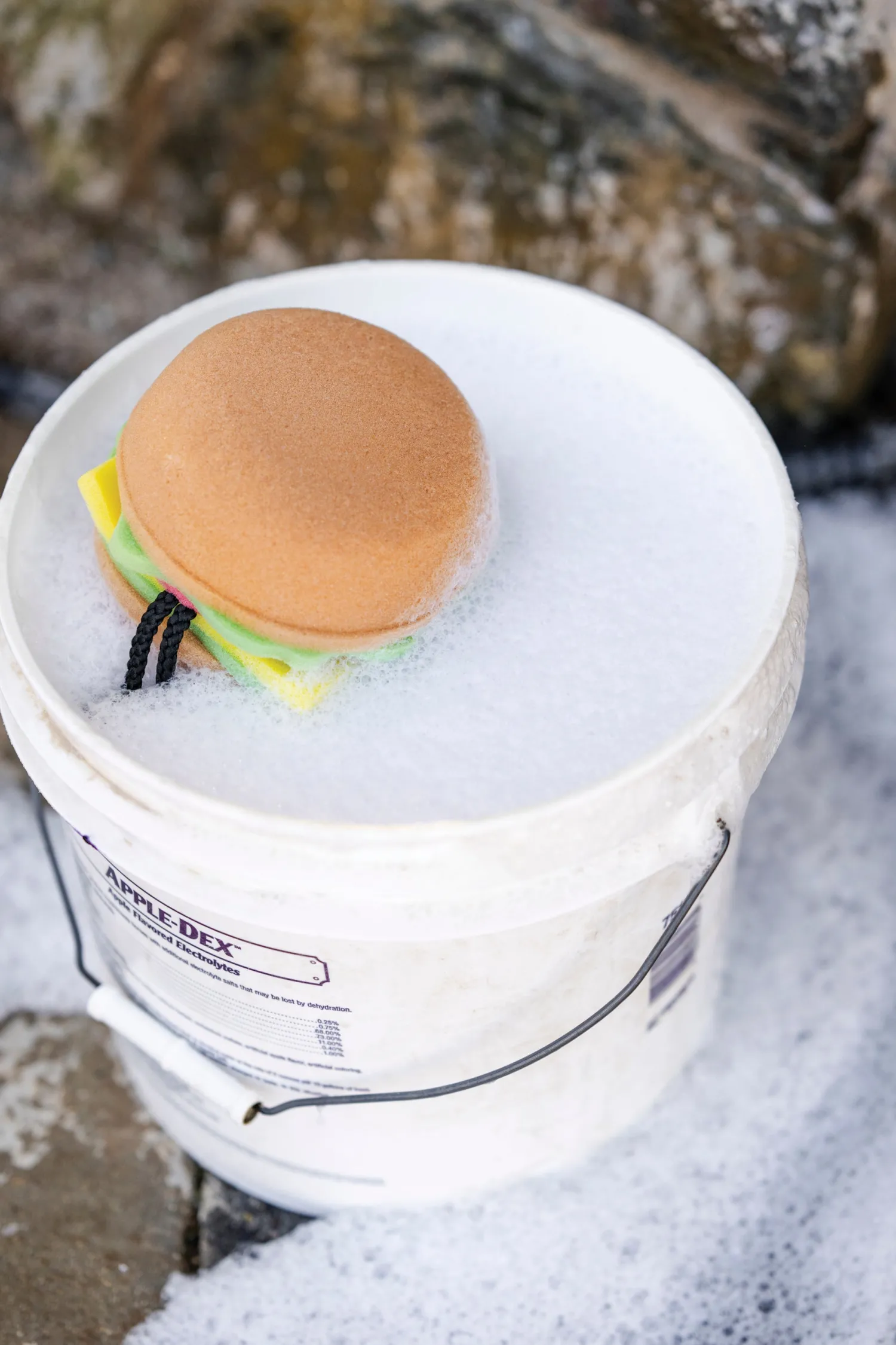 Outlet DREAMERS N SCHEMERS The Tack Hack Burger Body Sponge Mixed