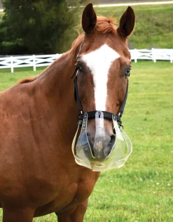 New THINLINE ® Flexible Filly Slow Feed Grazing Muzzle 2.5+cm Clear