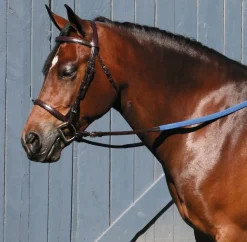 Outlet TORY LEATHER Company Padded English Bridle