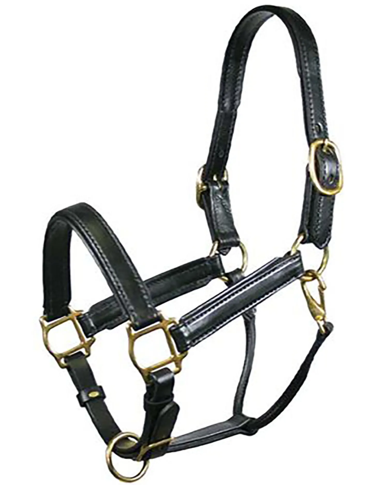 New TORY LEATHER Company Padded Leather Halter